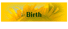 Birth